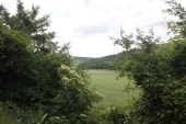Forêt des Dhuits